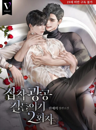 Taming the Obsessive Attachment Cover
