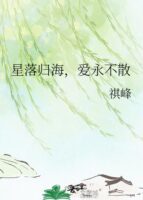 Stars Fall Into The Sea, Love Never Fades Cover